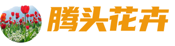 青州市騰頭花卉苗木有限公司